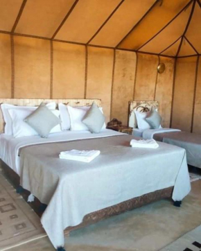 Sahara Safari Camp